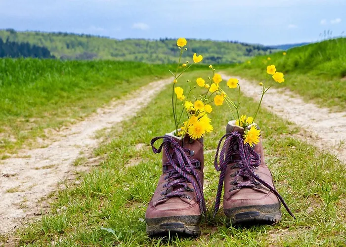 Gutenbrunn Thermen & Hotel