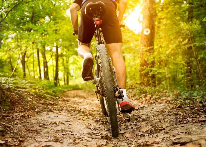 Gutenbrunn Thermen & Hotel 4*